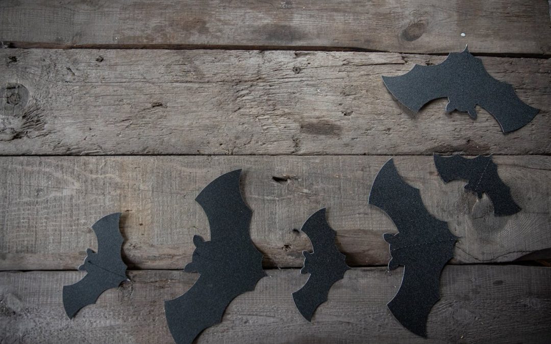 Fledermäuse auf der Terrasse? Gericht lehnt Mietminderung ab!